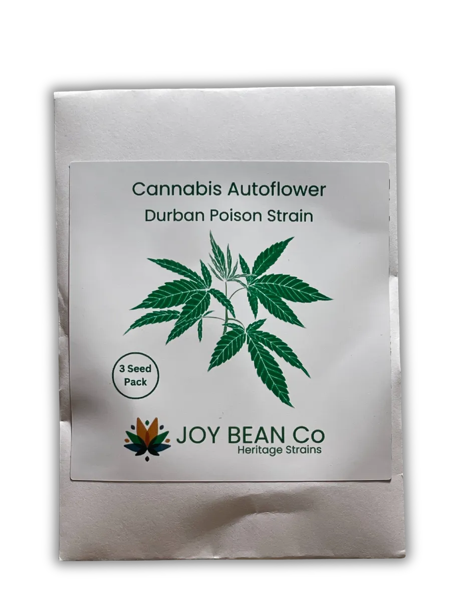 Continuous Living Soil Botanical CBD Cream