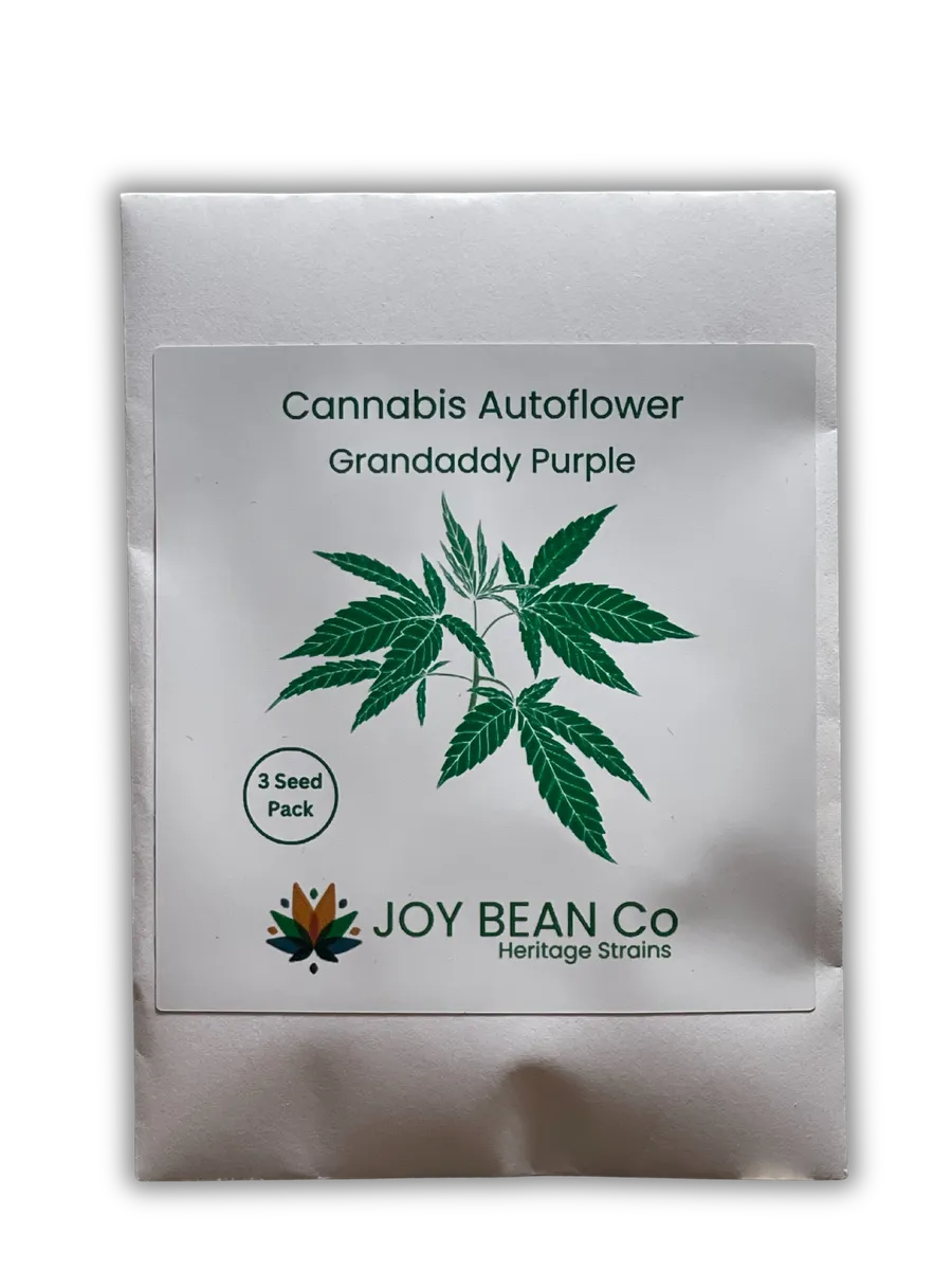 Image for Granddaddy Purple Seeds